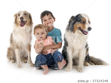 childs and dogs 57324246