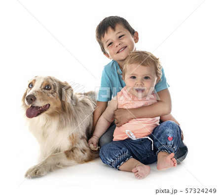 childs and dogs childs and dogs 57324249