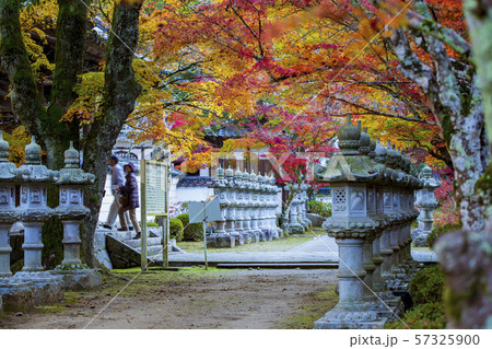 三原佛通寺の紅葉 三原佛通寺の紅葉 57325900