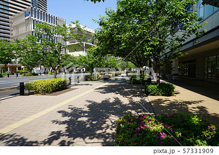 柏の葉キャンパス駅西口歩道風景＜千葉県柏市＞ 57331909