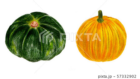 Pencil sketch of funny pumpkin character on white background Stock Photo   Alamy