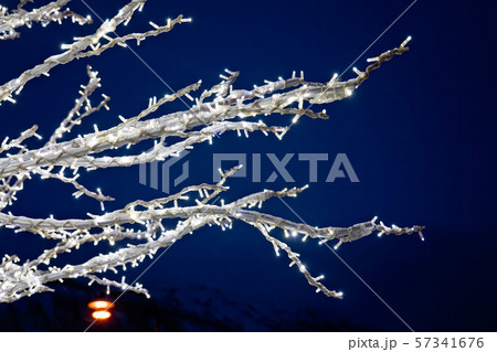 Winter tree with Christmas lights 57341676