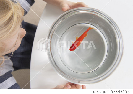 Boy with goldfish in bowl 57348152