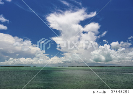 Seascape in Florida Keys, USA 57348295