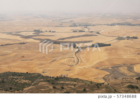 Rural landscape in Palouse, Washington, USA 57348688