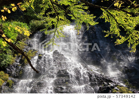 滝百選の龍双ヶ滝 57349142
