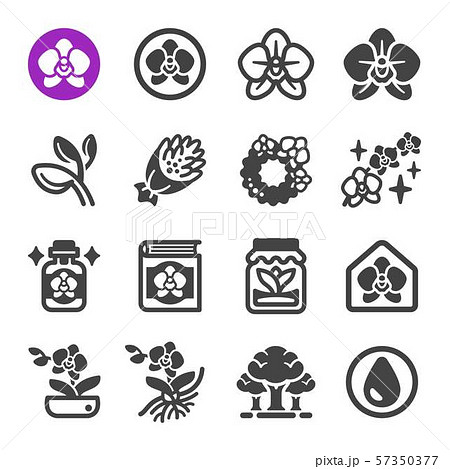 orchid icon set 57350377
