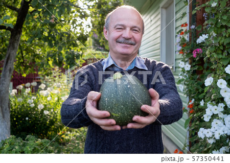 Senior hispanic man holding fresh vegetable Senior hispanic man holding fresh vegetable 57350441