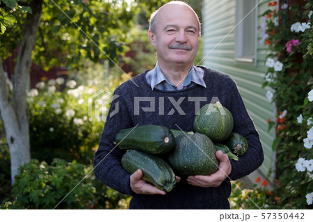 Senior hispanic man holding fresh vegetable Senior hispanic man holding fresh vegetable 57350442
