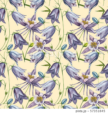 Bellflower blossoms, leaves and bouquets set. Seamless patterns. Watercolor set of flowers and 57351645