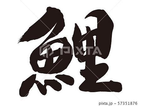 鯉　こい　筆文字 57351876