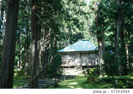 平泉寺白山神社　拝殿　新緑 57352683