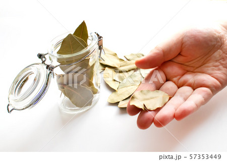 ローリエと瓶 57353449