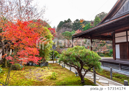 方丈と東庭 天授庵 57354174