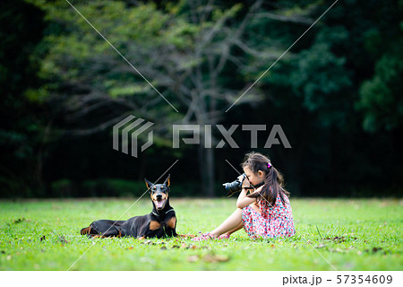 ドーベルマンの写真を撮影する女の子 57354609