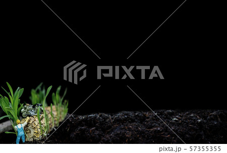 Miniature toy and new born with plant and tree. 57355355