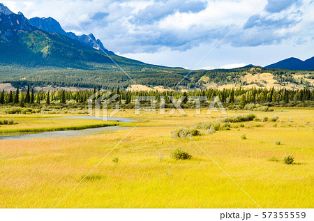 秋のカナディアンロッキー　ジャスパー　アサバスカ川沿いの黄葉と山並み（カナダ・アルバータ州） 57355559