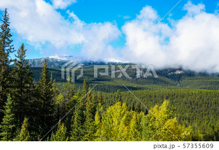 秋のカナディアンロッキーの山並み ーアイスフィールド・パークウェイにて(カナダ・アルバータ州) 秋のカナディアンロッキーの山並み ーアイスフィールド・パークウェイにて(カナダ・アルバータ州) 57355609
