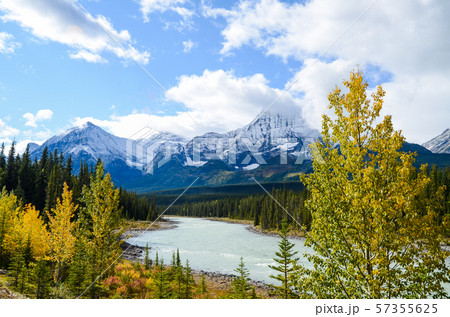秋のカナディアンロッキー　アサバスカ川と山並み　ーアイスフィールド・パークウェイにて（カナダ） 57355625