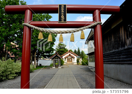 倶知安町倶知安神社屯宮の鳥居 倶知安町倶知安神社屯宮の鳥居 57355796