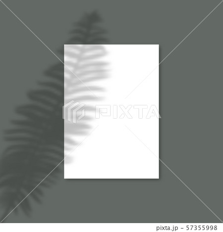 Shadow Overlay Plant Vector Mockup A4 Paper sheets. Shadow overlay effects Of A leaf Fern's on a 57355998