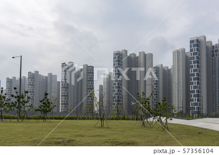 風景 自然 韓国 57356104