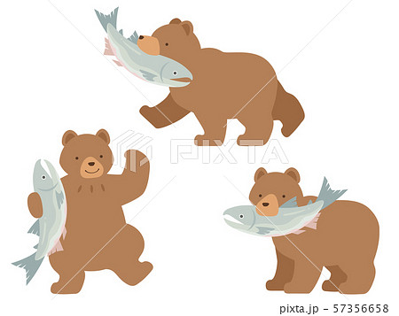鮭を咥えるクマ 鮭を持つクマのイラストセットのイラスト素材 57356658 Pixta