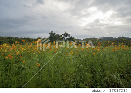 風景 自然 韓国 57357252