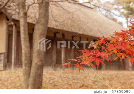 仙台市 泉ヶ岳紅葉 仙台市 泉ヶ岳紅葉 57359090