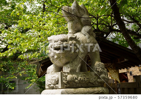 元三島神社の狛犬2 元三島神社の狛犬2 57359680