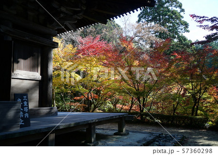 金剛輪寺の紅葉景色 57360298