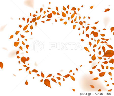 Swirling brown leafs in the wind. Swirling brown leafs in the wind. 57361100