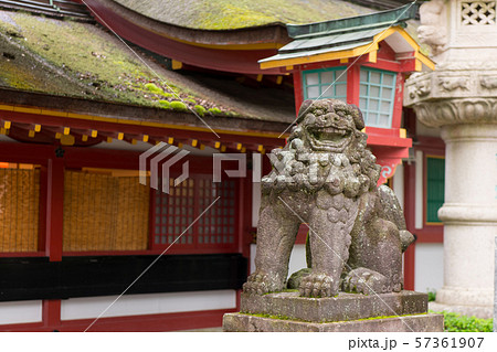 狛犬、太宰府天満宮、楼門、本殿、福岡太宰府天満宮、福岡県太宰府市 狛犬、太宰府天満宮、楼門、本殿、福岡太宰府天満宮、福岡県太宰府市 57361907