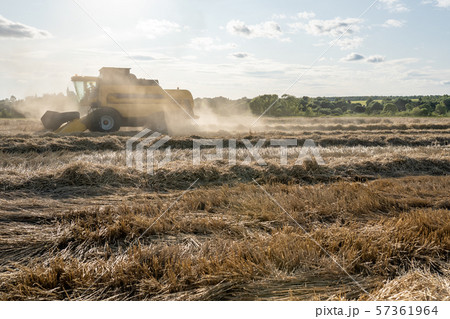 Toned photo of wheat field working combine harvester. Toned photo of wheat field working combine harvester. 57361964