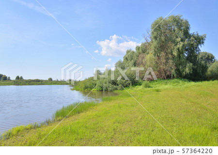 River at sunny day. River at sunny day. 57364220