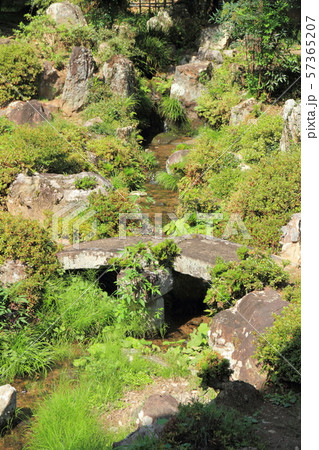 名勝 恵林寺庭園 甲州市 名勝 恵林寺庭園 甲州市 57365207