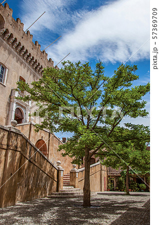 Alley with trees and facade of the Grimaldi Castle in Haut-de-Cagnes 57369709