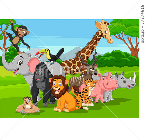 Cartoon Wild Animals In The Jungleのイラスト素材