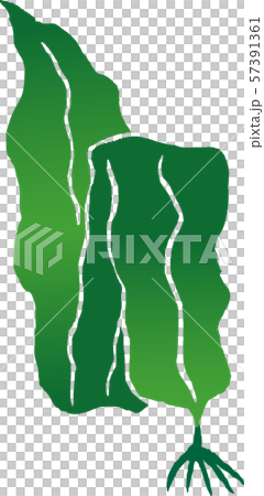 Kelp Kelp 57391361
