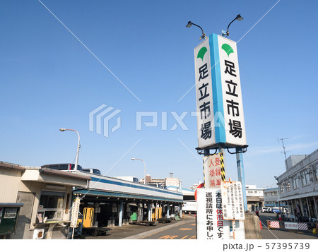 東京都　足立市場 57395739