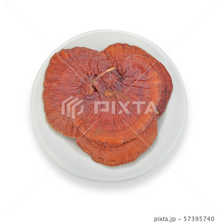 Dried lingzhi mushroom, Chinese traditional 57395740