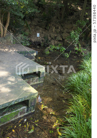 竹林公園の湧水点 57398440