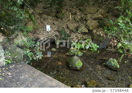 竹林公園の湧水点 57398446