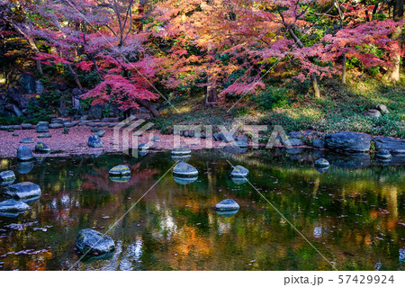 Autumn garden in Tokyo, Japan 57429924