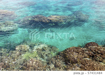 ニューカレドニア  ロイヤルティ諸島　マレ島　ノード湾のサンゴ礁 57431484