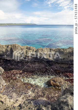 ニューカレドニア  ロイヤルティ諸島　マレ島　ノード湾のサンゴ礁 57431488