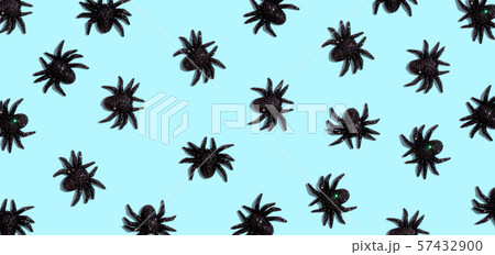 Halloween black spiders Halloween black spiders 57432900