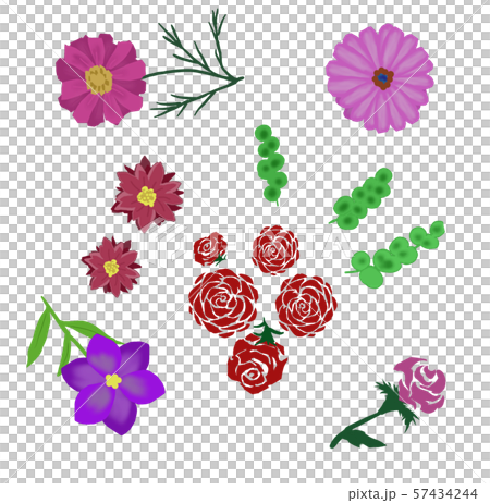 Flowers 57434244