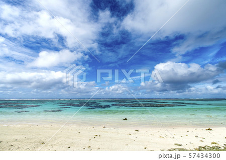 ニューカレドニア  ロイヤルティ諸島　マレ島　パソビーチ 57434300