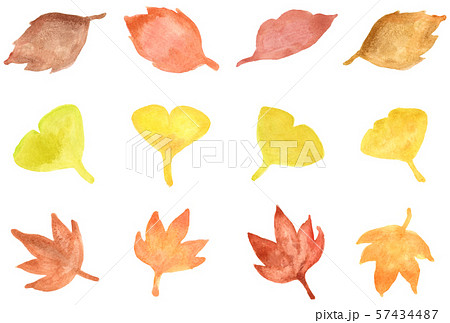 秋の落ち葉 イラストのイラスト素材